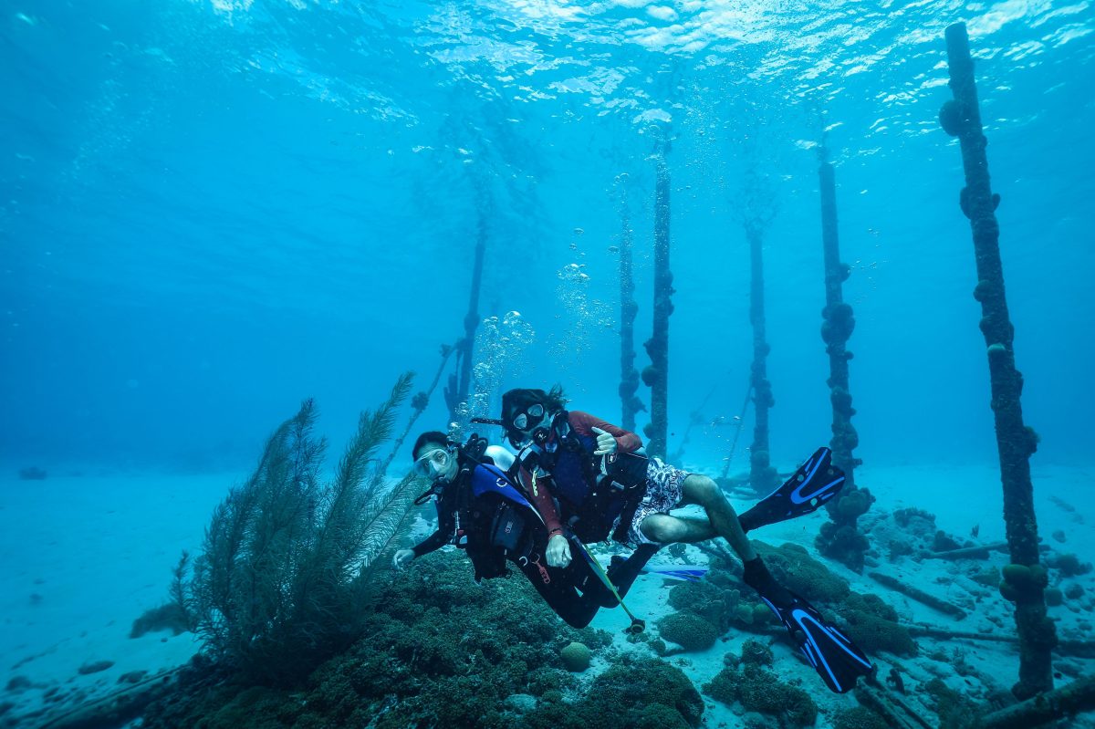 Time flies when you are having&nbsp;fun!