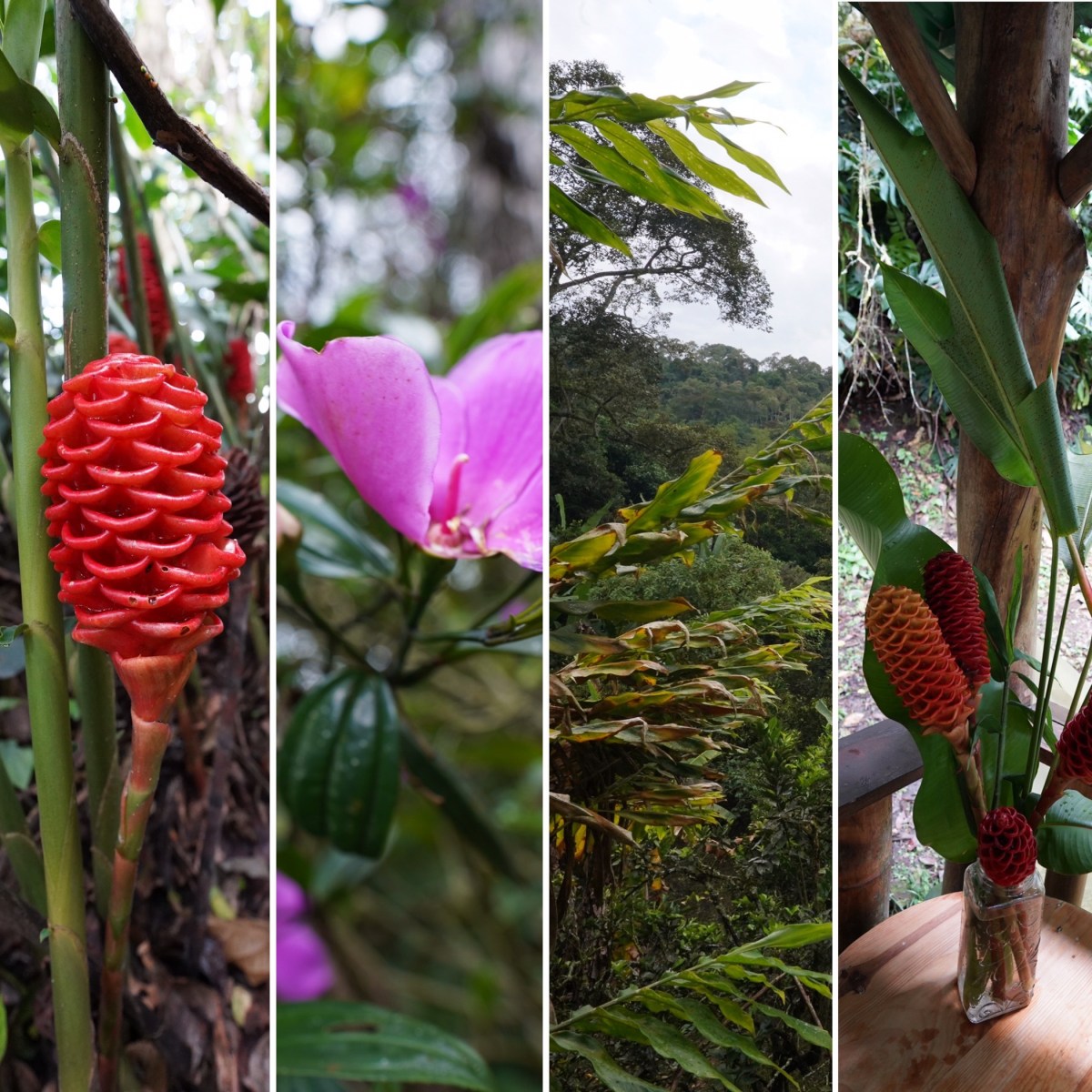 Colombia, even with COVID what a great&nbsp;place!!