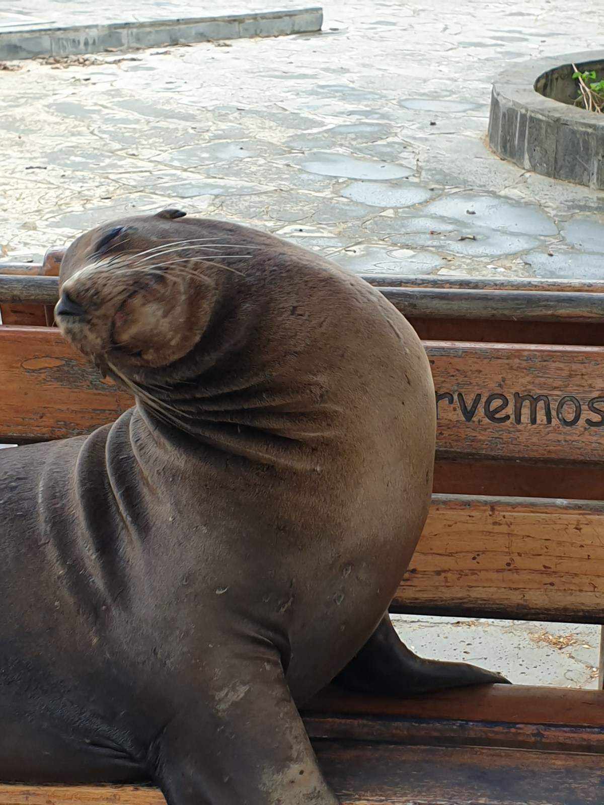 First glimpse of&nbsp;Galapagos